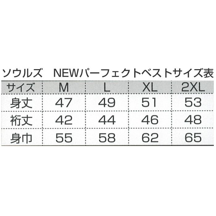 【即納出来ます！】ソウルズ　2024NEWパーフェクトベスト2　カラー：グレー： サイズ：XL｜6977｜03