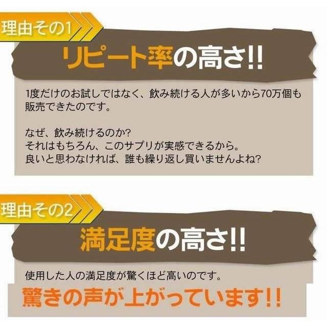 スピードシェイププラス フォーメン 3個セット 送料無料 メンズ 男性 ダイエット サプリ 筋トレ 黒酢 酵素 ガラナ マカ Mr 0812 3 Mr 0812 3 セブンパレット 通販 Yahoo ショッピング