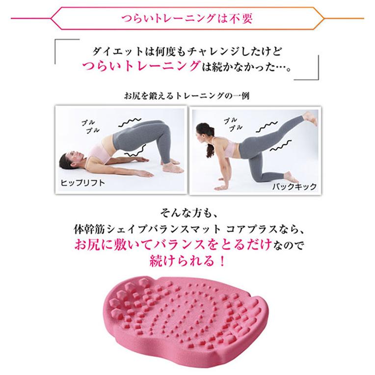 体幹筋シェイプバランスマット コアプラス 送料無料 トレーニング 