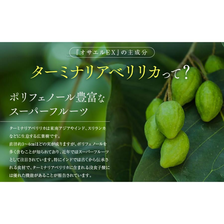 オサエルEX 56粒 ダイエット サプリメント 機能性食品 肥満 中性 オサエルEX 56粒 ダイエット サプリメント 機能性食品 肥満 中性