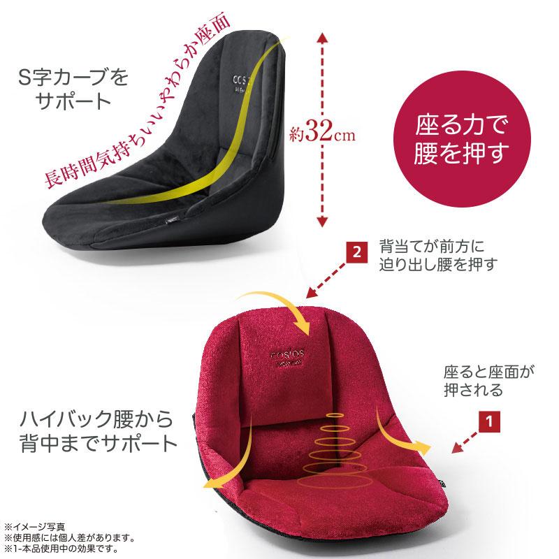 (特典あり) ポイント増量 ボードクッション cosios PREMIUM コシオスプレミアム 選べる2個セット 姿勢矯正 腰 骨盤矯正 背筋 腰痛対策 猫背改善 腰クッションの画像