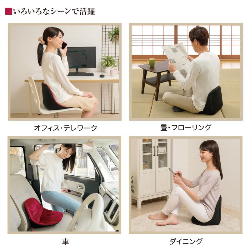(特典あり) ポイント増量 ボードクッション cosios PREMIUM コシオスプレミアム 選べる2個セット 姿勢矯正 腰 骨盤矯正 背筋 腰痛対策 猫背改善 腰クッションの画像