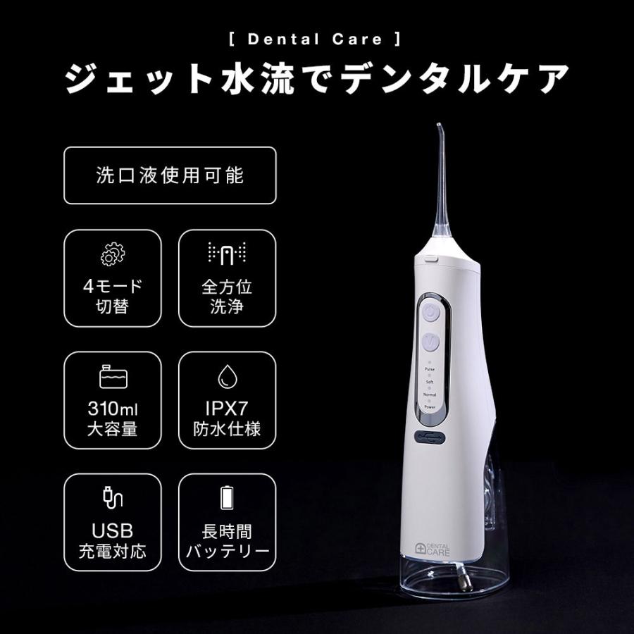 ポイント増量 ジェット水流でデンタルケア 歯磨き 口腔洗浄器 360°回転