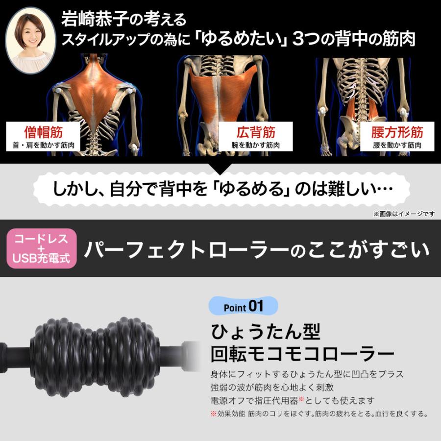 (特典あり) ポイント増量 岩崎恭子プロデュース Breast Top パーフェクトローラー BTPR-10 正規品 ストレッチ 筋トレ 軽量 振動 転がす 姿勢 運動不足｜7-palette｜06