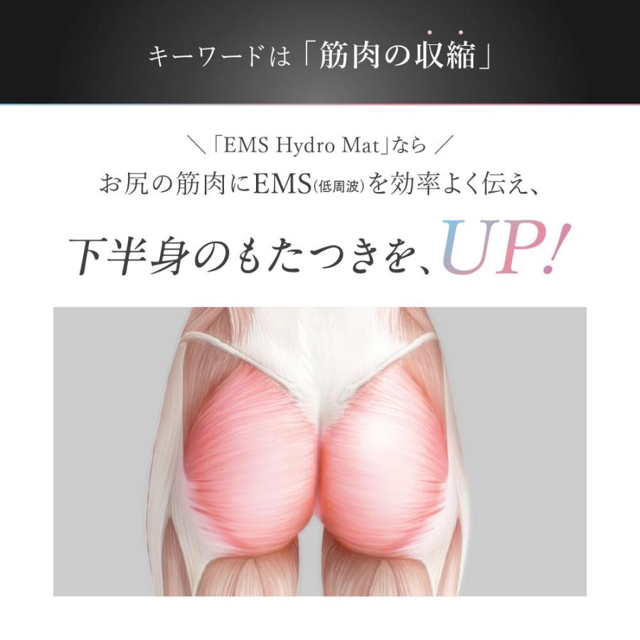 特典あり) ポイント増量 WAVEWAVE EMS Hydro Mat ハイドロマット 美尻