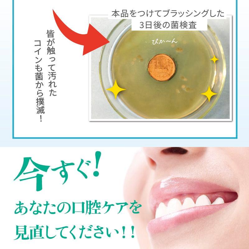 薬用YESホワイト 医薬部外品 歯磨き粉 歯の健康 口臭予防 歯垢除去 歯