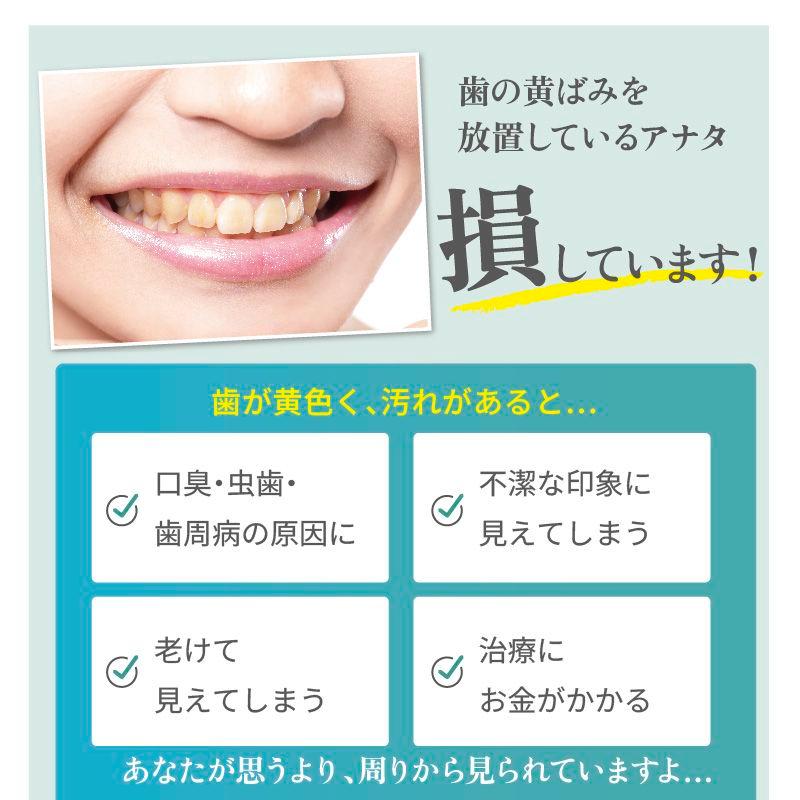 薬用YESホワイト 医薬部外品 歯磨き粉 歯の健康 口臭予防 歯垢除去 歯