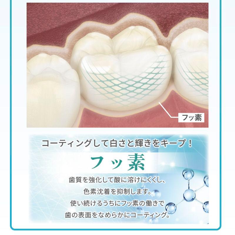 薬用YESホワイト 医薬部外品 歯磨き粉 歯の健康 口臭予防 歯垢除去 歯