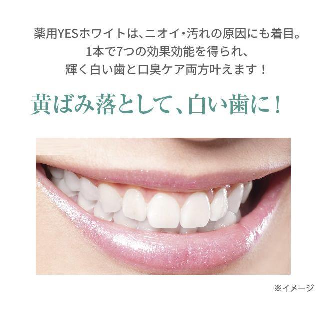 薬用YESホワイト 医薬部外品 歯磨き粉 歯の健康 口臭予防 歯垢除去 歯