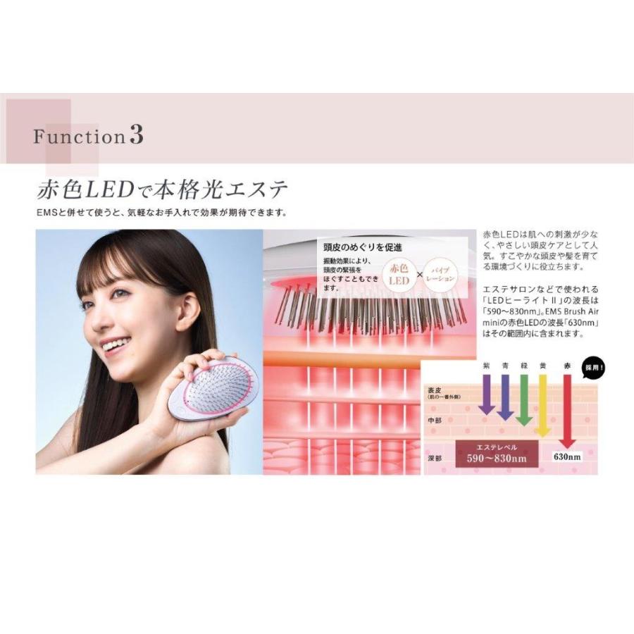 特典あり) ポイント増量 WAVEWAVE EMS Brush Air Mini EMSブラシ 頭皮