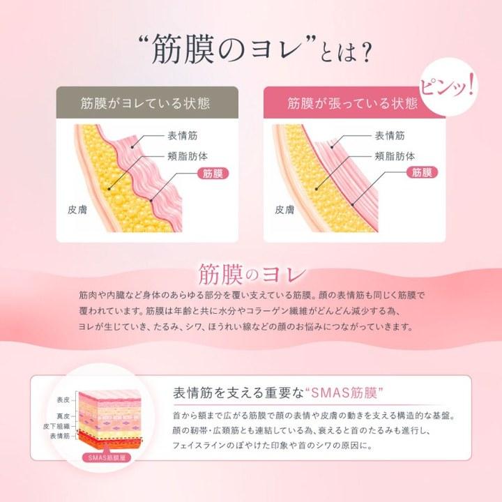 特典あり) クーポン使える icoelle イコエル デュアルプロリフト EMS