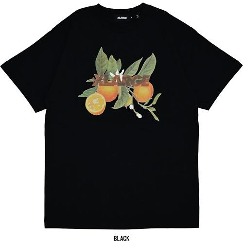 X-LARGE Tシャツ 7枚セット XLARGE エクストララージ S/S TEE ORANGE : 7-SEVEN - 通販