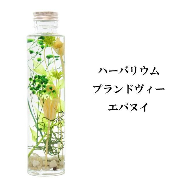 ハーバリウム プランドヴィー 花材 オイル 瓶 花 植物 ギフト