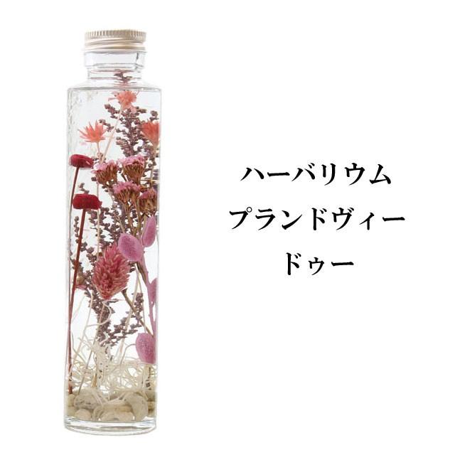 ハーバリウム プランドヴィー 花材 オイル 瓶 花 植物 ギフト
