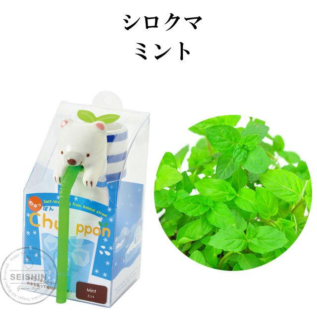 栽培キット Chuppon Sea Friend ちゅっぽん シーフレンド 即納 栽培セット 植物 グリーン ハーブ 野菜 クローバー バジル ミント Sst002 癒しグッズ専門店 なごみ 通販 Yahoo ショッピング