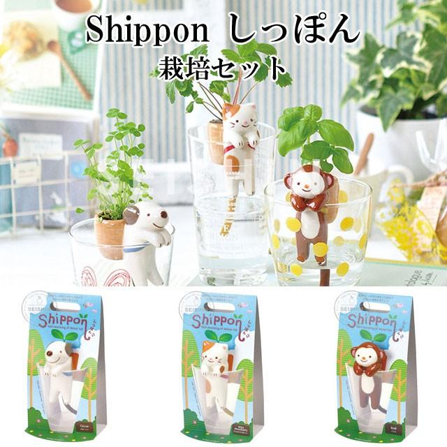 植物育成応援セット 育成ライトが取付可、ライトレールスタンド 植物棚 アガベ 塊根