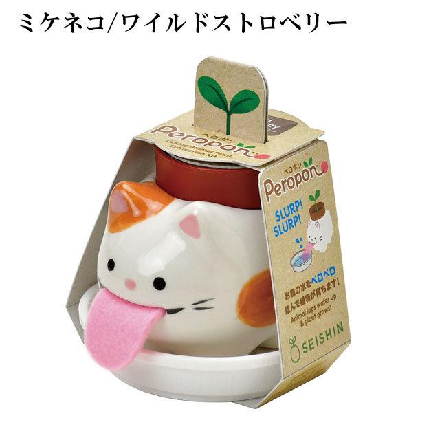 栽培セット Peropon ペロポン キャッツ 栽培キット 植物 グリーン