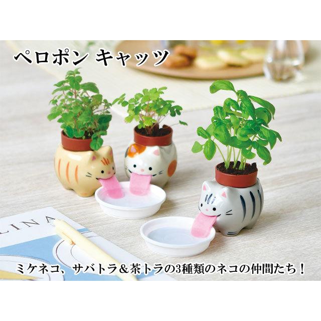 栽培セット Peropon ペロポン キャッツ 栽培キット 植物 グリーン
