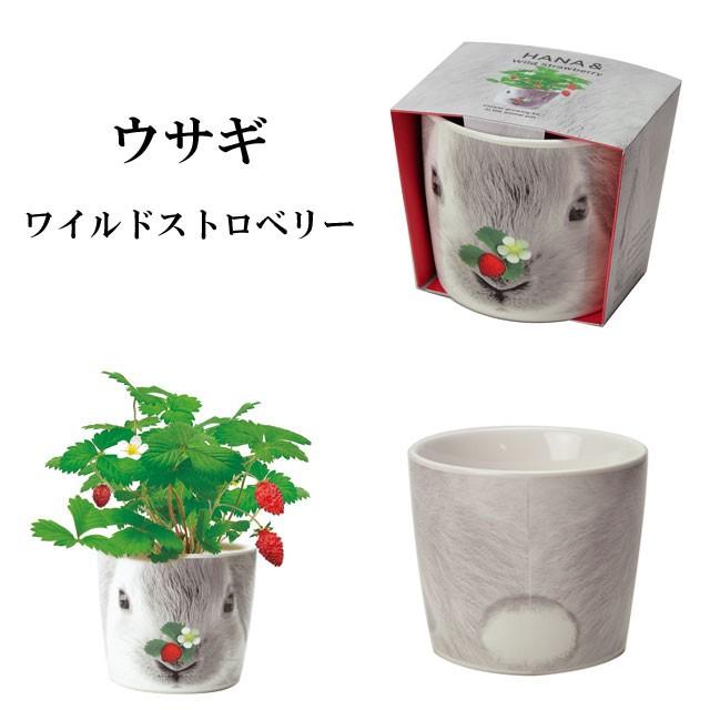 【tomato9900】植物人形セット tomato9900】植物人形セット 探検セット | VARIETY | Kawada