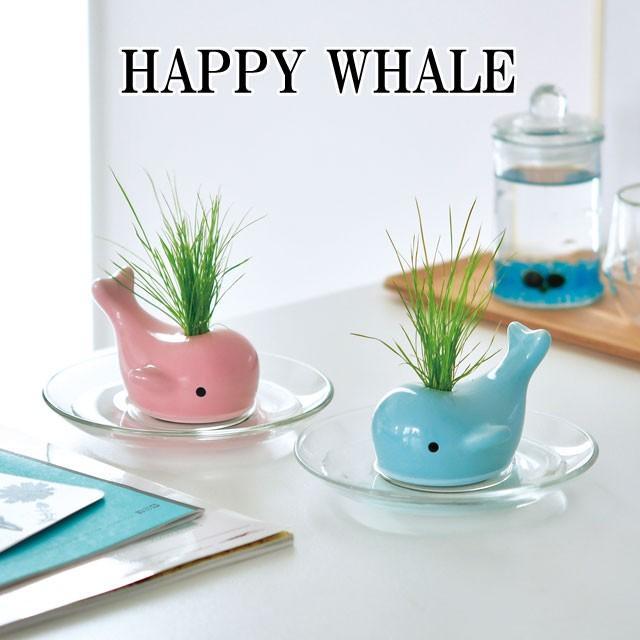栽培キット Happy Whale ハッピー ホエール 栽培セット クジラ 鯨 くじら 植物 グリーン ハーブ 芝生 芝 インテリア かわいい オシャレ Sst016 癒しグッズ専門店 なごみ 通販 Yahoo ショッピング