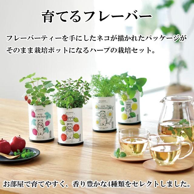 栽培キット Grow Flavor 育てるフレーバー 栽培セット アップルミント レモンバーム ワイルドストロベリー カモミール ハーブ かわいい オシャレ｜753nagomi｜06