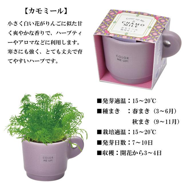 栽培キット Color me up MUG カラーミーアップマグ 栽培セット