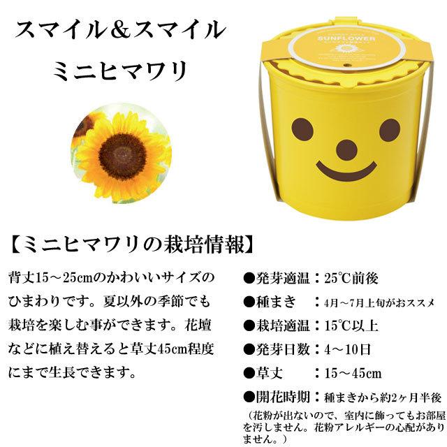 栽培キット かわいい 栽培セット Smile Smile スマイル スマイル バジル クローバー ワイルドストロベリー ミニヒマワリ ヒマワリ 室内 プレゼント Sst022 癒しグッズ専門店 なごみ 通販 Yahoo ショッピング