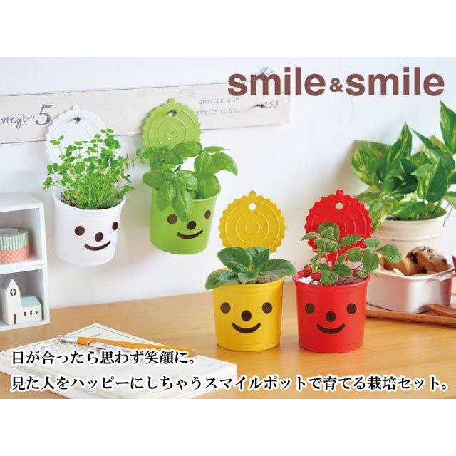 栽培キット かわいい 栽培セット Smile & Smile スマイル & スマイル バジル クローバー ワイルドストロベリー ミニヒマワリ ヒマワリ 室内 プレゼント｜753nagomi｜06