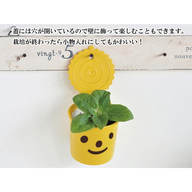 栽培キット かわいい 栽培セット Smile Smile スマイル スマイル バジル クローバー ワイルドストロベリー ミニヒマワリ ヒマワリ 室内 プレゼント Sst022 癒しグッズ専門店 なごみ 通販 Yahoo ショッピング