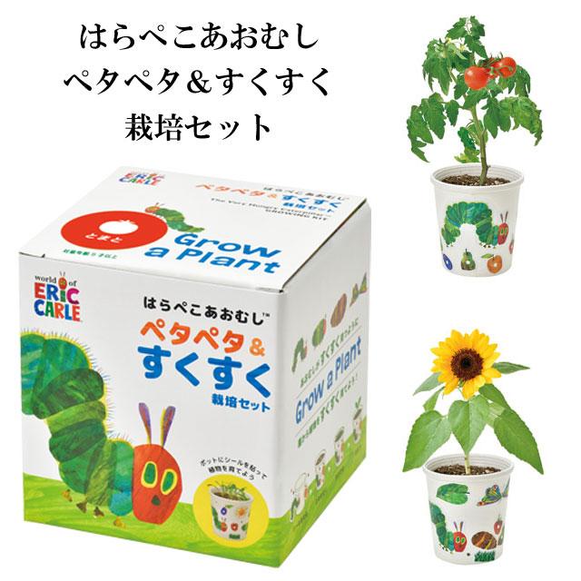 はらぺこあおむしペタペタ＆すくすく 栽培セット かわいい 栽培キット