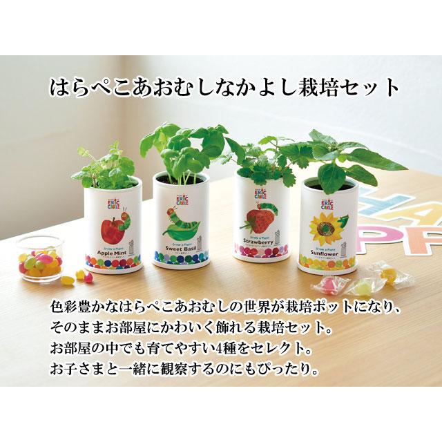 サラダページ　アイヌ　カムイ　イチイの木　まとめセット サラダ様 専用ページ アイヌ カムイ イチイの木 まとめセット