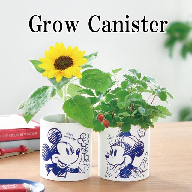 栽培キット Grow Canister グローキャニスター ミッキーマウス ミニーマウス 栽培セット グリーン ハーブ ヒマワリ ワイルドストロベリー Sst033 癒しグッズ専門店 なごみ 通販 Yahoo ショッピング