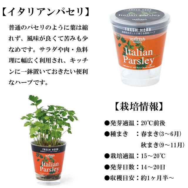 栽培キット Fresh Herb フレッシュハーブ 栽培セット 植物 グリーン ハーブ 野菜 ミント イタリアンパセリ バジル かわいい おしゃれ グリーン インテリア Sst053 癒しグッズ専門店 なごみ 通販 Yahoo ショッピング