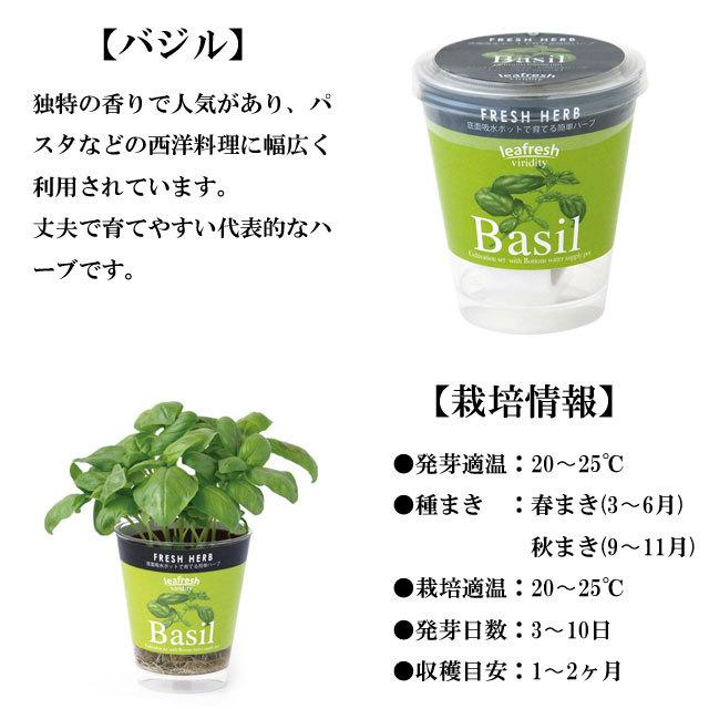 栽培キット Fresh Herb フレッシュハーブ 栽培セット 植物 グリーン ハーブ 野菜 ミント イタリアンパセリ バジル かわいい