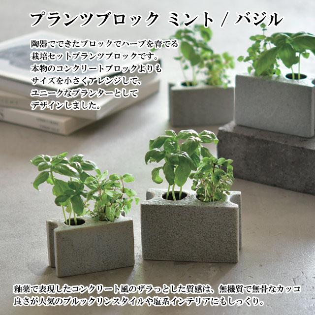NEIGHBORHOOD WARLOCK SRL プランターセット NEIGHBORHOOD WARLOCK SRL SQUARE-3 W-CUBE SRL NEIGHBORHOOD WARLOCK