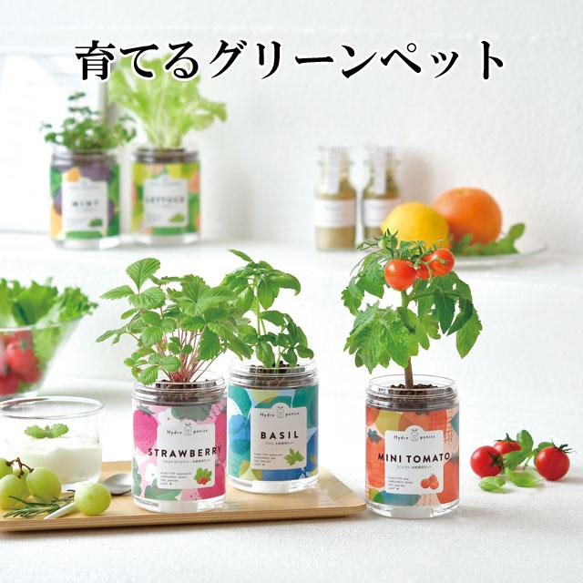 栽培キット 育てるグリーンペット 栽培セット 植物 グリーン ハーブ 野菜 ミント バジル ワイルドストロベリー レタス ミニトマト 室内 かわいい おしゃれ（Yahoo!・癒しグッズ専門店 なごみ）