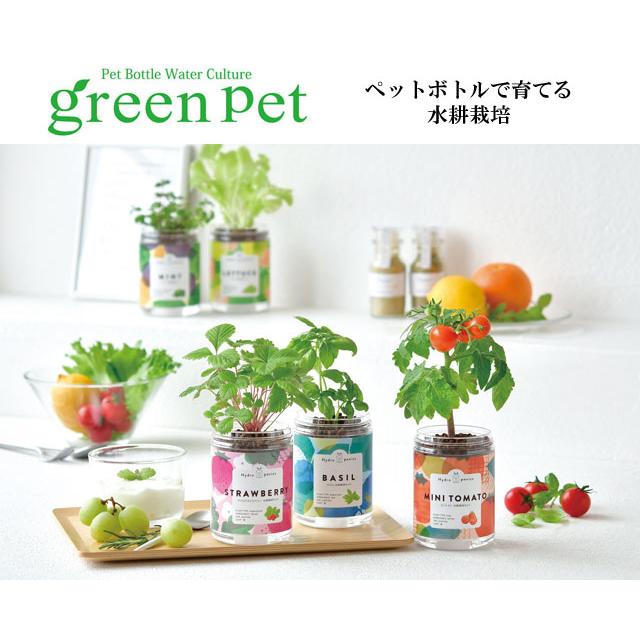 栽培キット 育てるグリーンペット 栽培セット 植物 グリーン ハーブ 野菜 ミント バジル ワイルドストロベリー レタス ミニトマト 室内 かわいい おしゃれ｜753nagomi｜08