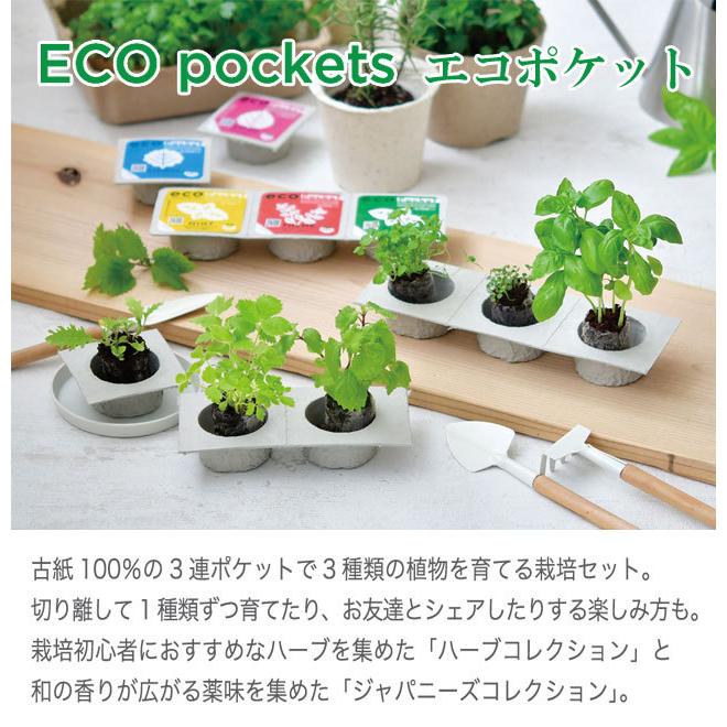 数量限定アウトレット最安価格 栽培セット Eco Pockets エコポケット 栽培キット グリーン ハーブ 野菜 ミント タイム バジル しそ 三つ葉 わさび菜 コレクション かわいい Aynaelda Com