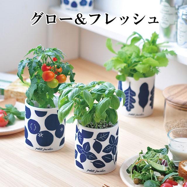 栽培キット かわいい 栽培セット ハーブ バジル 室内 プレゼント Grow Fresh グロー フレッシュ パクチー コリアンダー ベビーリーフミックス ミニトマト Sst065 癒しグッズ専門店 なごみ 通販 Yahoo ショッピング