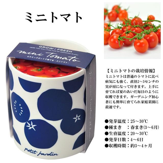 栽培キット かわいい 栽培セット ハーブ バジル 室内 プレゼント Grow Fresh グロー フレッシュ パクチー コリアンダー ベビーリーフミックス ミニトマト Sst065 癒しグッズ専門店 なごみ 通販 Yahoo ショッピング