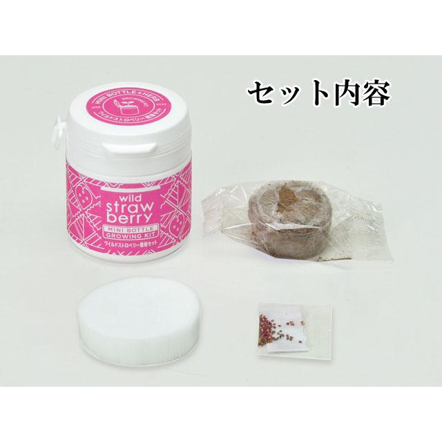 栽培キット MINI BOTTLE HERBS ミニボトル ハーブ かわいい 栽培セット