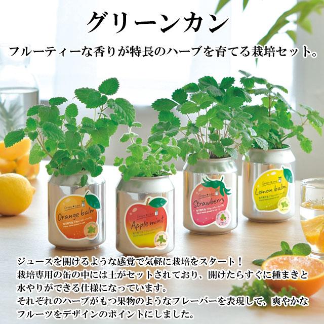 栽培キット GREEN CAN グリーンカン ハーブ かわいい 栽培セット