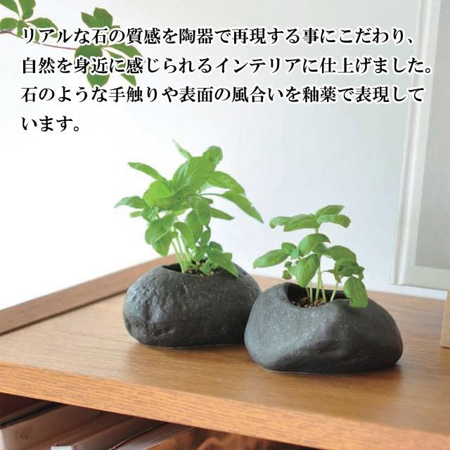 栽培キット Plants Rock Basil プランツロック バジル 即納 栽培セット 植物 グリーン ハーブ 石 インテリア かわいい オシャレ 置物 グッズ Sst072 癒しグッズ専門店 なごみ 通販 Yahoo ショッピング