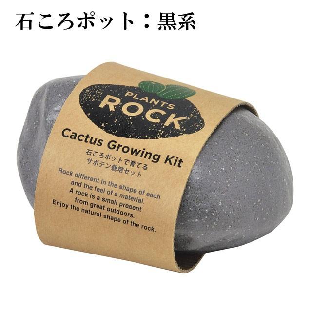栽培キット Plants Rock Cactus プランツロック カクタス 即納 栽培セット 植物 グリーン サボテン さぼてん 石 インテリア かわいい オシャレ 置物 Sst073 癒しグッズ専門店 なごみ 通販 Yahoo ショッピング