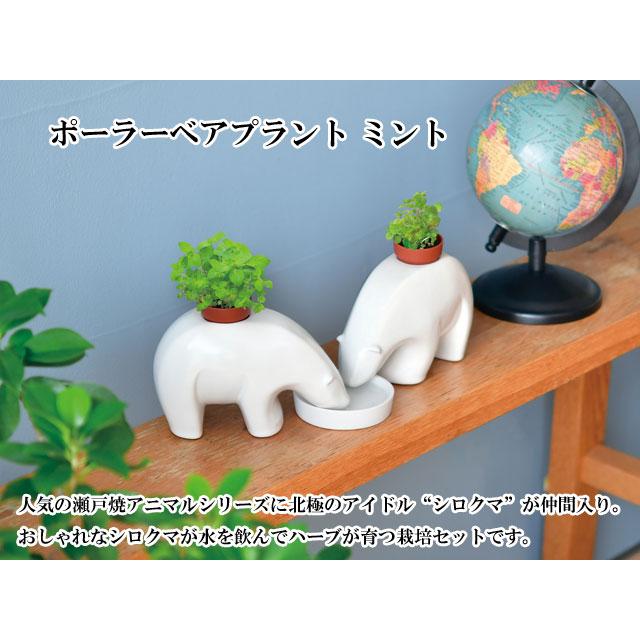 栽培キット polar bearplant ポーラーベアプラント ミント ハーブ