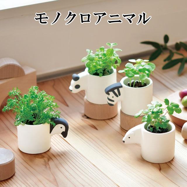栽培キット monokuro animal モノクロアニマル かわいい 栽培セット