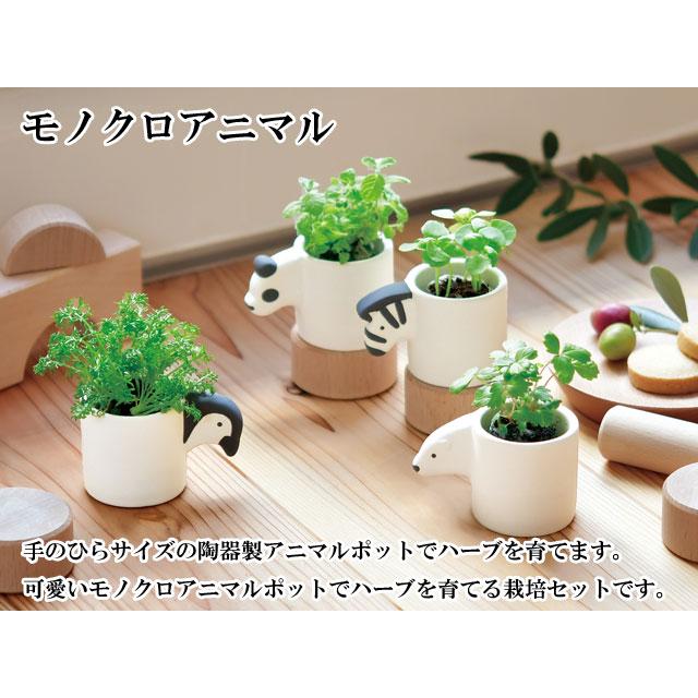 栽培キット monokuro animal モノクロアニマル かわいい 栽培セット
