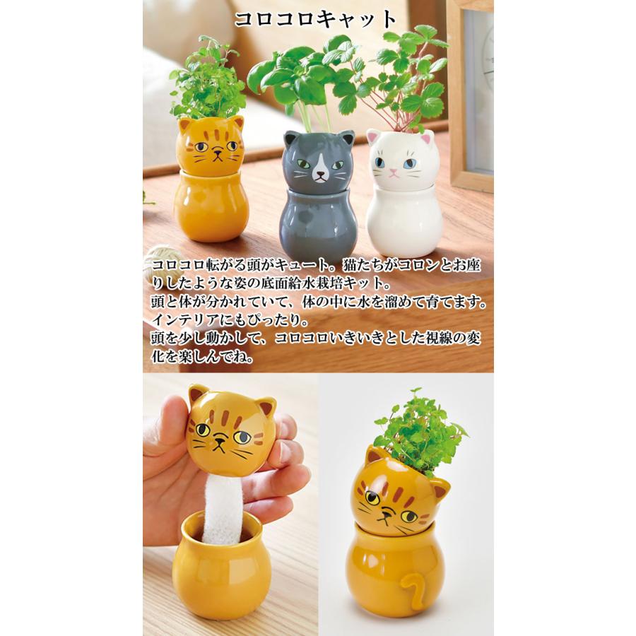 コロコロキャット 栽培セット 栽培キット ハーブ かわいい ネコ 猫