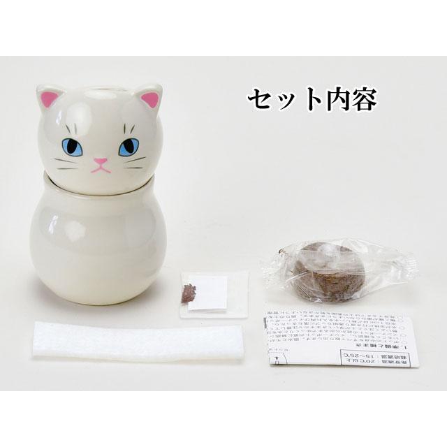 コロコロキャット 栽培セット 栽培キット ハーブ かわいい ネコ 猫
