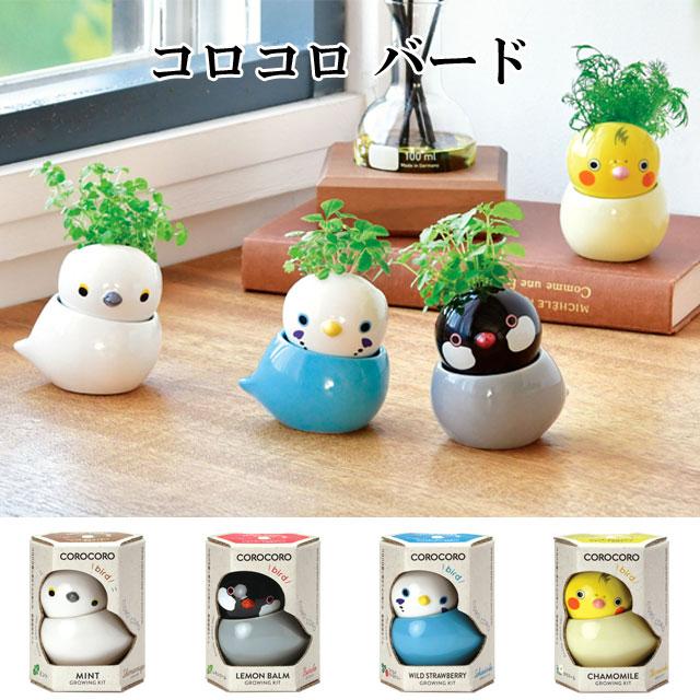 コロコロ バード 栽培セット 栽培キット ハーブ かわいい トリ 鳥 とり